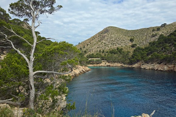 Nordosten Mallorcas – Buchten von Pollença & Alcúdia