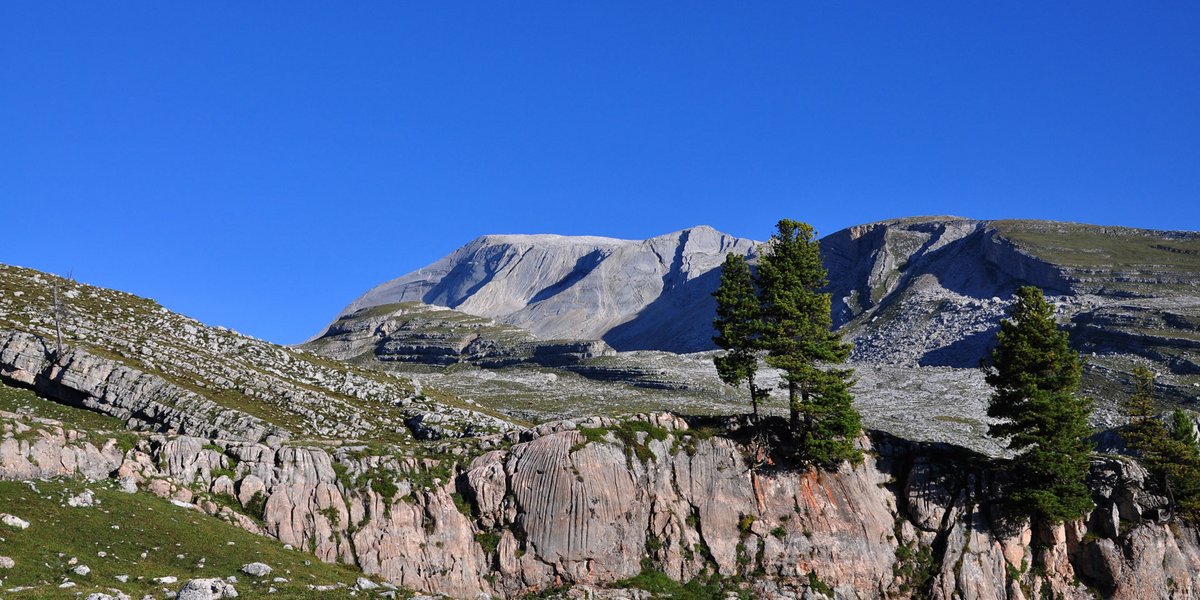 Blick zur Neunerspitze