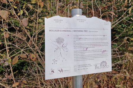 Gnadenwalder Baumpfad