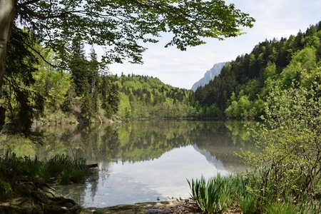 Vier Seen Wanderung bei Kufstein