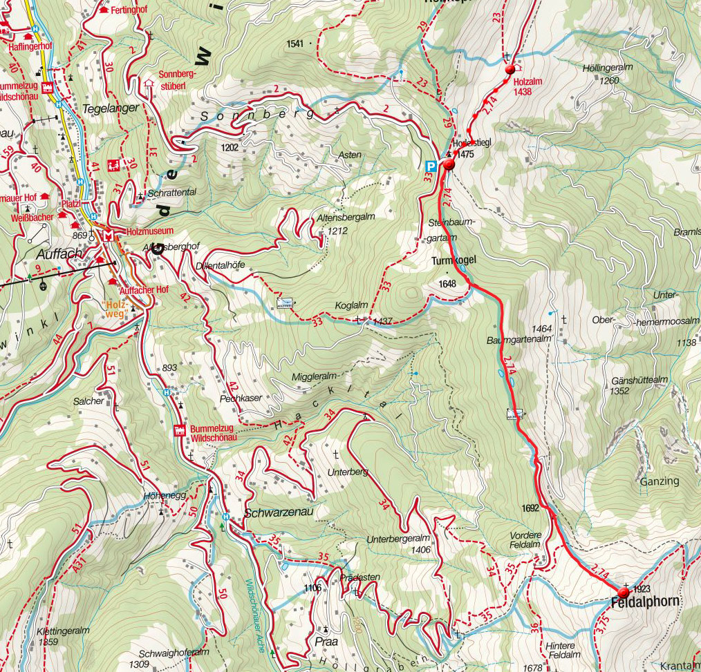 Feldalphorn, 1923 m: Bergwanderung vom Horlerstiegl Feldalphorn, 1923 m: Bergwanderung vom Horlerstiegl