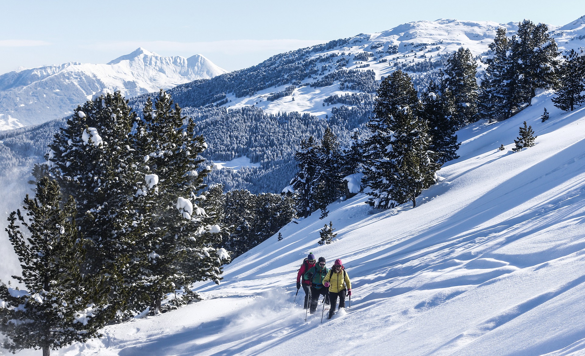 Schneeschuhwandern am Glungezer in Tirol winterwandern schneeschuhe tuxer alpen, hall-wattens