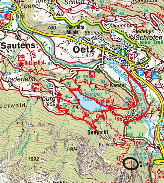 Wasserläufer Piburger See Wasserläufer Piburger See