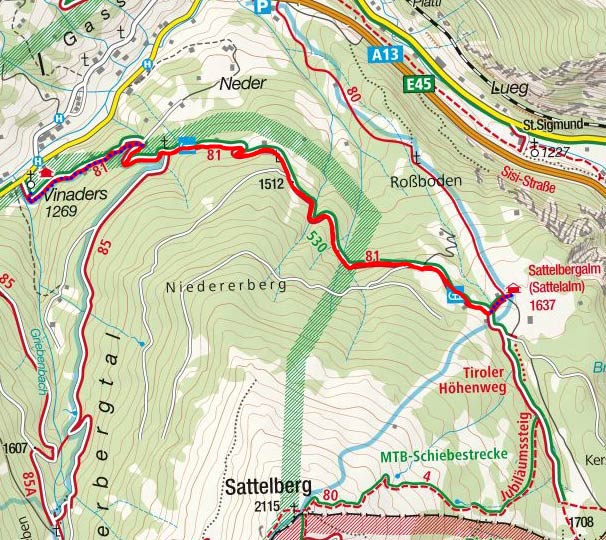 Sattelbergalm - Naturrodelbahn Sattelbergalm - Naturrodelbahn