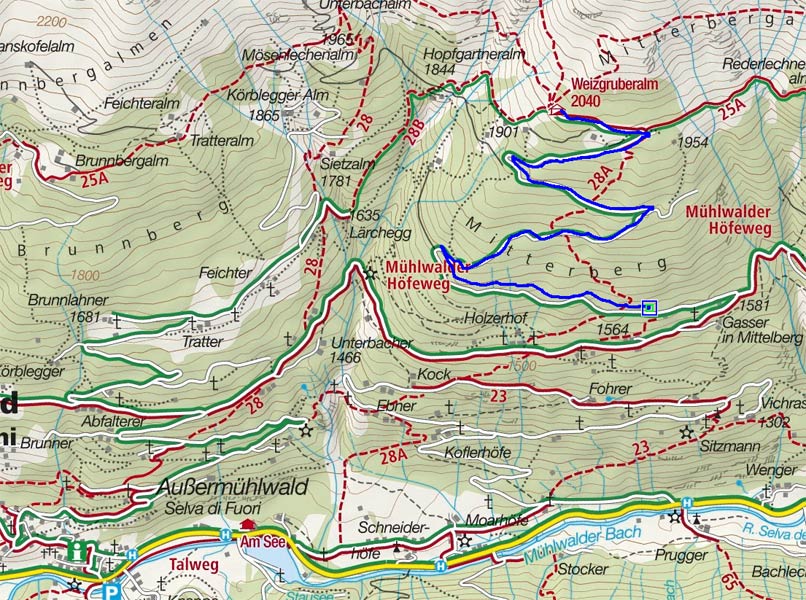 Naturrodelbahn Weizgruber Alm - Außermühlwald Naturrodelbahn Weizgruber Alm - Außermühlwald