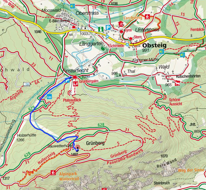 Grünberg (1497m) von der Grünberg-Alm Grünberg (1497m) von der Grünberg-Alm